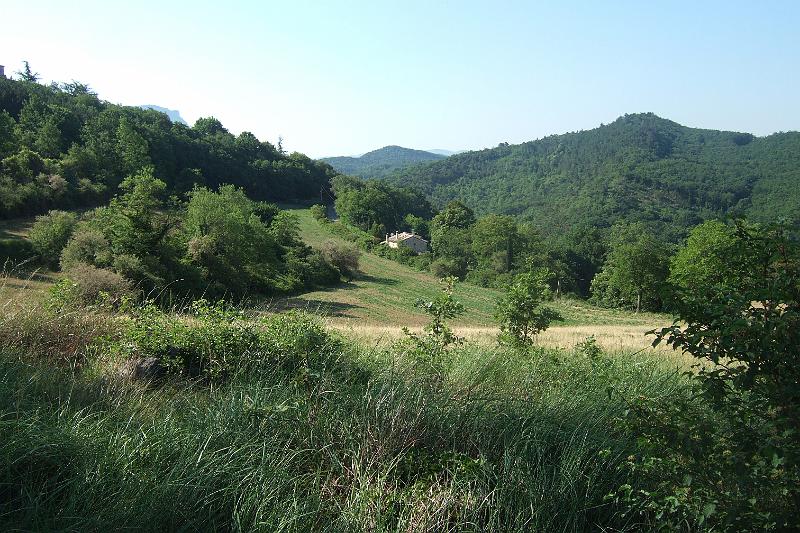 2011-05- (1493).JPG
